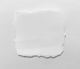 pieces of torn paper texture background, copy space.