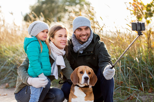 family, pets and people concept - happy mother, father and little daughter with beagle dog taking picture by smartphone on selfie  stick outdoors in autumn