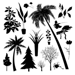 Naklejka premium Set of silhouette of Different type of trees and plant