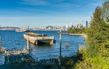 Seattle Skyline From Park