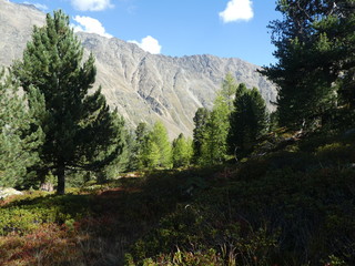 summit rock panorama landscape of the mountains in south tyol italy europe 