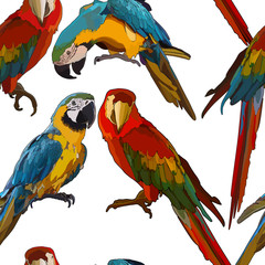 Seamless background with Ara parrots in vector © juliartblog