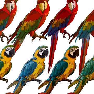 Seamless background with Ara parrots