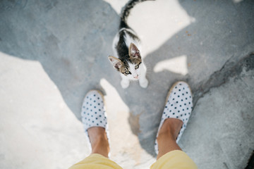 woman's feet and a kitten