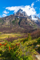 Fototapeta premium Torres del Paine, Chile - Laguna Torres, famous landmark of Patagonia, South America.