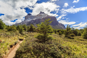 Fototapeta na wymiar Torres del Paine, Chile - Laguna Torres, famous landmark of Patagonia, South America.