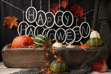 Autumn still life with pumpkins and text 