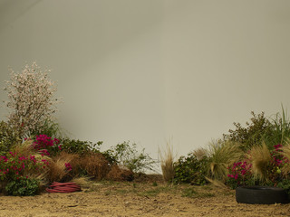 Garden on set