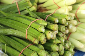 Green okra in market