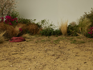 fake landscaping on set