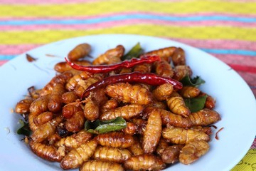 Fried Insect at street food