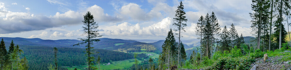 Panorama vom Schwarzwald