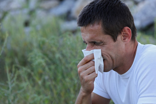 Pollen, Ragweed allergy, Man sneezing in a tissue otdoors
