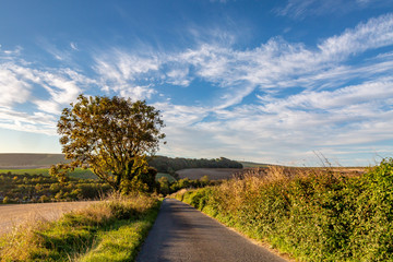 A country road in Sussex on a sunny autumn morning