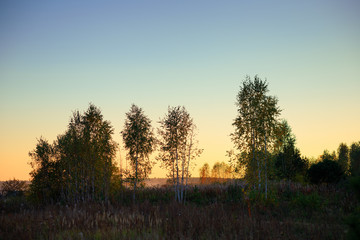 Fototapeta na wymiar Autumn landscape of the Ural.Russia.