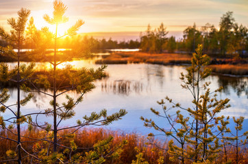 Autumn landscape with colorful sunset in the swamp