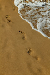 Fototapeta na wymiar Footprints in the sand at a beach.
