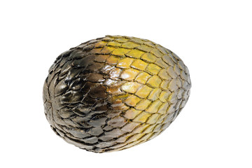 Dragon egg.