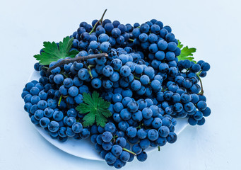 Organic blue grapes on a dark boards background, prepared for a buffet table, on a white background