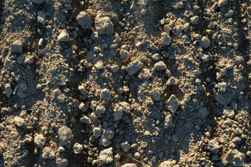 leerer Ackerboden nach der Ernte, Nahaufnahme