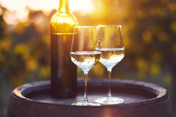 Two glasses of white wine on a wooden barrel in the vineyard at sunset