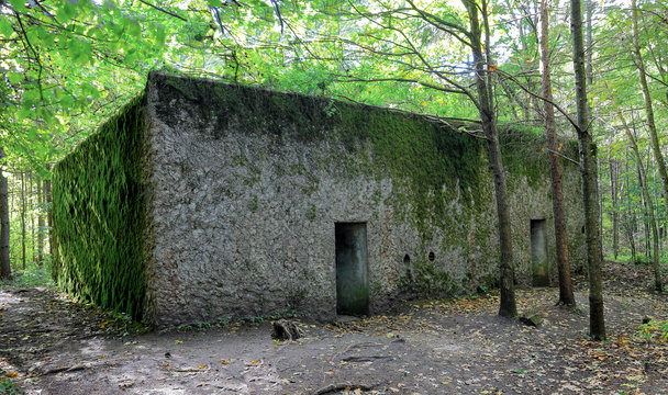 Mamerki Images Browse 131 Stock Photos, Vectors, and Video Adobe Stock