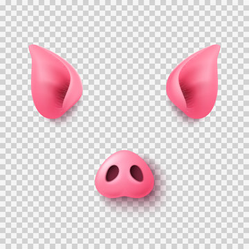 Realistic 3d pig nose and ears