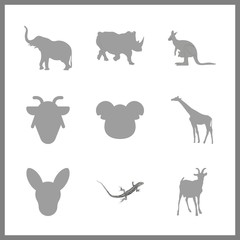 zoo icons set. macro, art, powerful and big graphic works