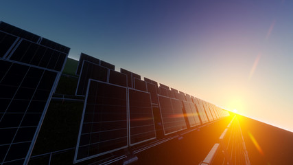 Field of Solar Panels with Sun Beyond the Horizon 3d rendering