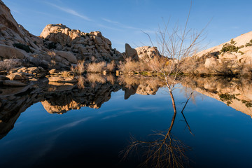 Fototapeta na wymiar Desert Sandstone Hill Reflecting in a Pond at Joshua Tree Park