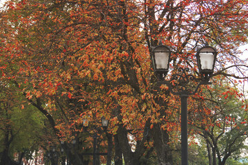 Autumn Park. Forged lanterns