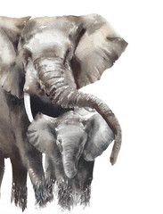 Elefantenmama mit Babyaquarellmalereiillustration lokalisiert auf weißem Hintergrund Safaritiere