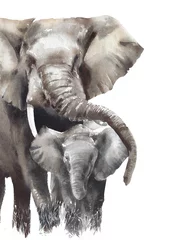 Foto auf Acrylglas Esszimmer Elefantenmama mit Babyaquarellmalereiillustration lokalisiert auf weißem Hintergrund Safaritiere