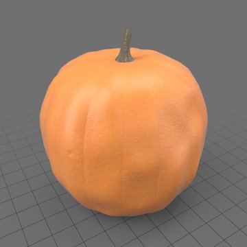 Medium pumpkin