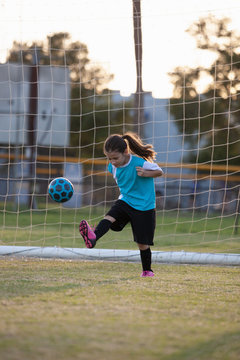 A girl kicks a soccer ball in front of a goal. 