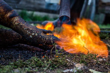 Cooking food on fire. Preparation of meat for the winter