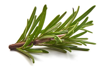 Rosemary branch, close-up, isolated on a white background