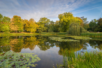 Herbst im Arthur Bretschneider Park in Leipzig