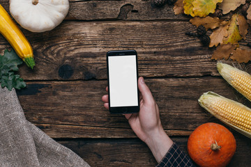 Autumn vegetables: mobile phone with white empty screen in men s hand, pumpkins and corn on a wooden background