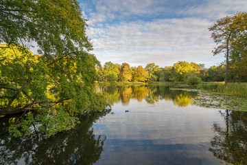 Herbst im Arthur Bretschneider Park in Leipzig