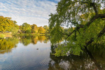Fototapeta na wymiar Herbst im Arthur Bretschneider Park in Leipzig