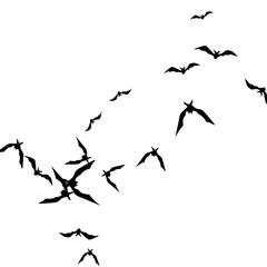 Halloween background with black bats on white. Halloween party card background template. black flying bats.