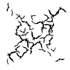 Halloween background with black bats on white. Halloween party card background template. black flying bats.