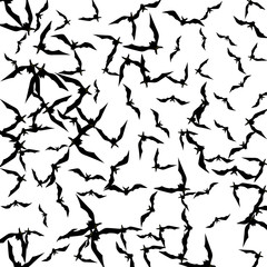 Halloween background with black bats on white. Halloween party card background template. black flying bats.