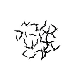 Halloween background with black bats on white. Halloween party card background template. black flying bats.