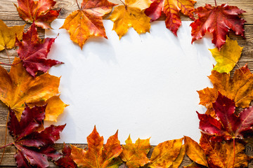 Naklejka na ściany i meble autumn leaves around a sheet of paper