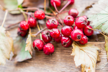 Fototapeta na wymiar red berries n wooden background