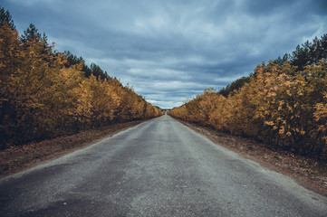 dark autumn road