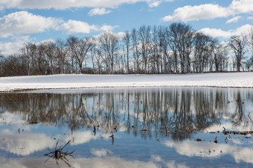 Winter Reflections 04