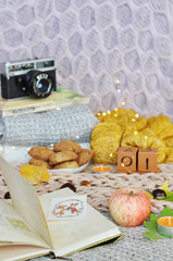 notebook, old vintage camera, apples and other different autumn things on the knitted background